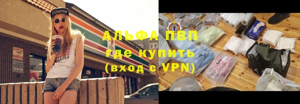 молекула духа Туринск
