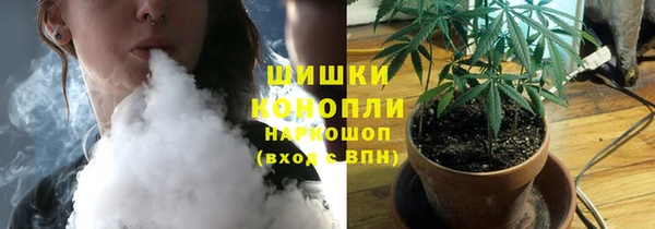 мяу мяу мука Бородино