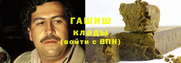гашиш Богданович