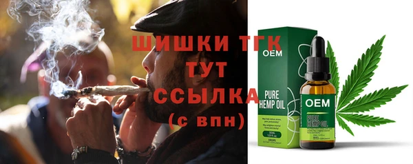 гашиш Богданович
