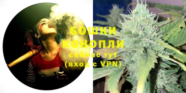 гашиш Богданович