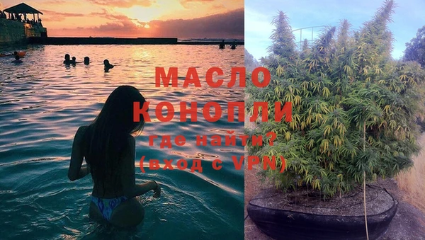 мяу мяу мука Бородино