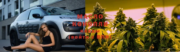 мяу мяу мука Бородино